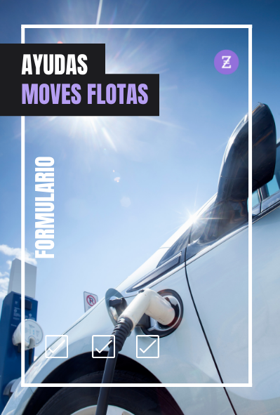 formulario-moves